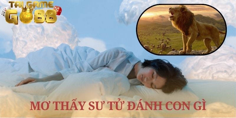 mơ thấy sư tử đánh con gì